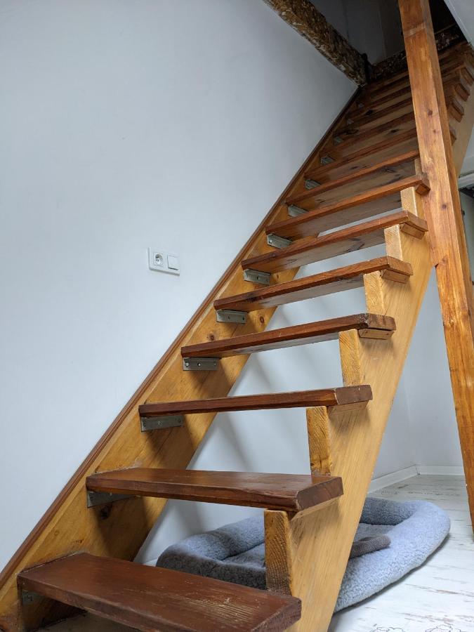 Apartament Lux-Centrum Ґлівіце Екстер'єр фото